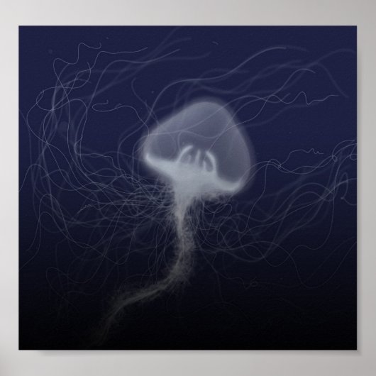 Poster méduse (Devant)