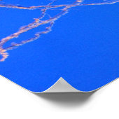 Poster Méduse (Coin)