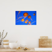 Poster Méduse (Cuisine)