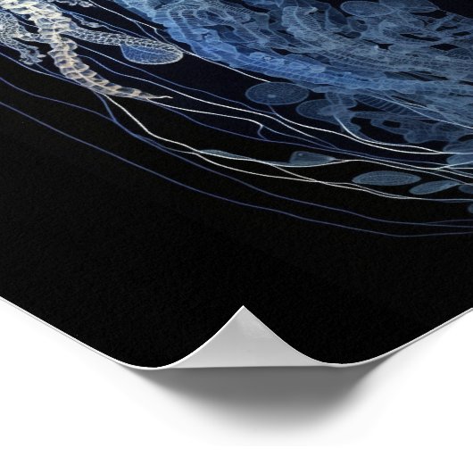 Poster Méduse (Coin)