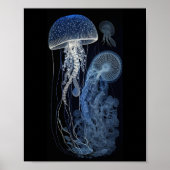 Poster Méduse (Devant)