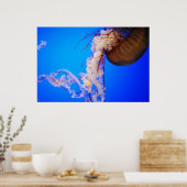 Poster Méduse (Cuisine)