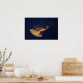 Poster Méduse 2 (Cuisine)