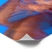 Poster méduse 4 (Coin)
