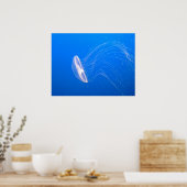 Poster méduse-474059 méduses tentacules empoisonneux und (Cuisine)