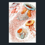 Poster Méduse, Discomedusae par Ernst Haeckel<br><div class="desc">Méduse,  Discomedusae Scheibenquallen par Ernst Haeckel Poster</div>
