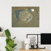 Poster méduse échouée (Bureau à domicile)