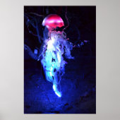 Poster Méduse éclatante (Devant)