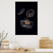 Poster Méduse lune nageant (Cuisine)
