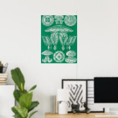 Poster Méduses, Discomedusae par Ernst Haeckel (Bureau à domicile)