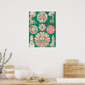 Poster Méduses, Discomedusae par Ernst Haeckel (Cuisine)