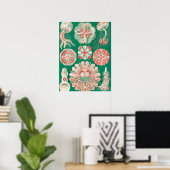 Poster Méduses, Discomedusae par Ernst Haeckel (Bureau à domicile)