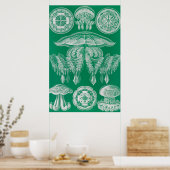 Poster Méduses, Discomedusae par Ernst Haeckel (Cuisine)