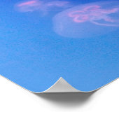 Poster Méduses roses dans l'eau bleue (Coin)