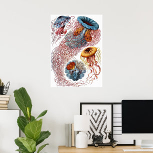 Poster Méduses vintage par Ernst Haeckel, Discomedusae