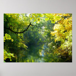 Poster meer en bomen
