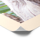 Poster Meerkat (Coin)