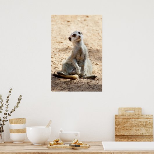 Poster Meerkat (Cuisine)
