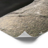 Poster Meerkat (Coin)