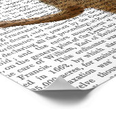 Poster Meerkat avec Boom Box Ghetto Blaster (Coin)