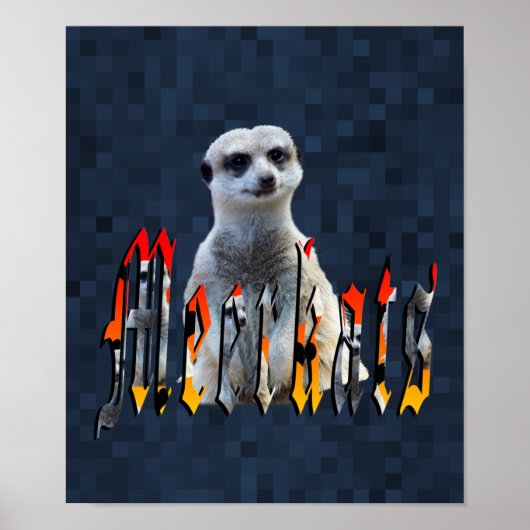 Poster Meerkat Avec Logo Meerkats, (Devant)