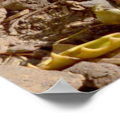 Poster Meerkat Blanc Se Tenant Au Soleil, (Coin)