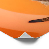 Poster Meerkat Faire Stop Main Gester (Coin)