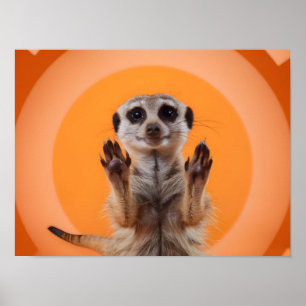 Poster Meerkat Faire Stop Main Gester