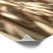 Poster Meerkat Poser (Coin)