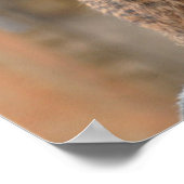 Poster Meerkat sur l'affiche de l'attention (Coin)