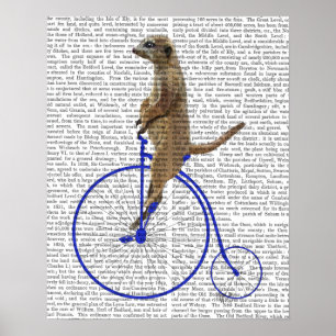 Poster Meerkat sur le quart de penny bleu de penny