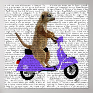 Poster Meerkat sur Lilac Moped