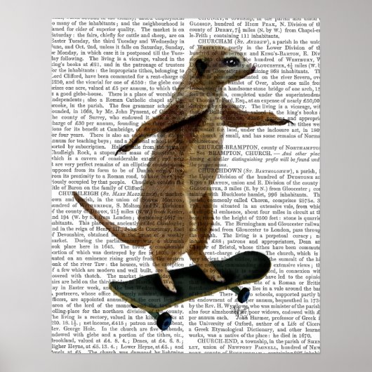 Poster Meerkat Sur Skateboard (Devant)