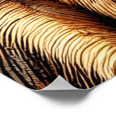 Poster Meerkats (Coin)