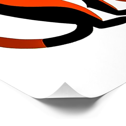 Poster Meerkats (Coin)