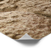 Poster Meetkat Posterq (Coin)