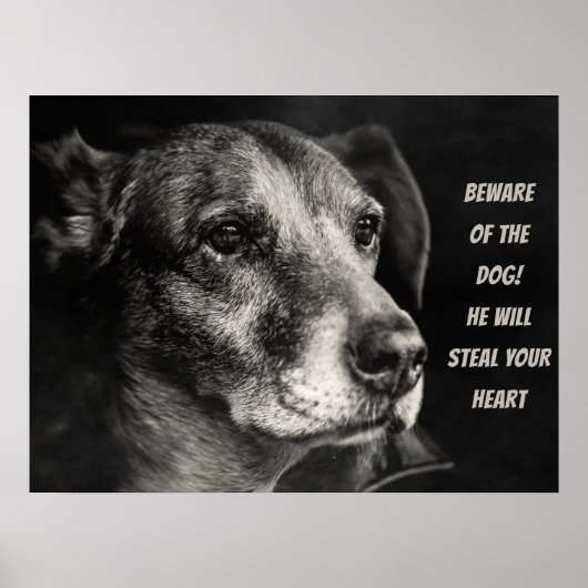 Poster Méfiez-vous du chien, photo de l'animal de compagn (Devant)