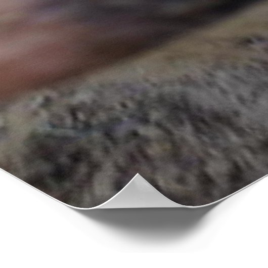 Poster Meg the Pig (Coin)