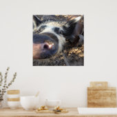 Poster Meg the Pig (Cuisine)