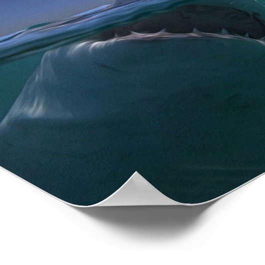 Poster Megalodon (Coin)