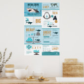 Poster Megalodon Shark - Des faits meurtriers ! 24 x 36 p (Cuisine)