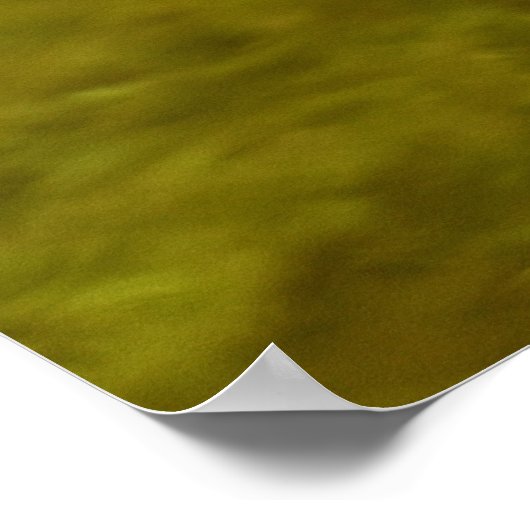 Poster Meganser Duck (Coin)