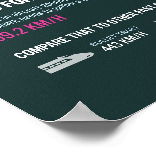 Poster Megashark : Mort dans le ciel (Coin)