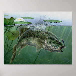 Poster Meilleur 2010 national d'exposition par A. Hunter