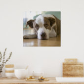 Poster Meilleur ami (Cuisine)