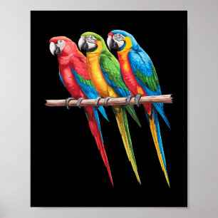 Poster Meilleur Art Parrot Pour Hommes Femmes Enfants Par