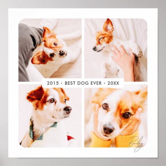 Poster Meilleur chien photo collage moderne mémorial pour (Devant)