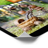 Poster Meilleur elfes de acorne photos mosaïque (Coin)