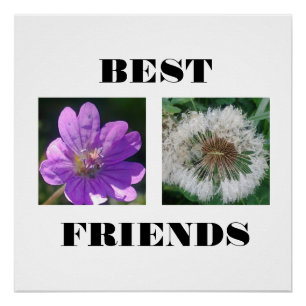 Poster Meilleur Modèle d'images des amis