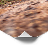 Poster Meilleur Regard Voitures Classiques Célèbres Voitu (Coin)